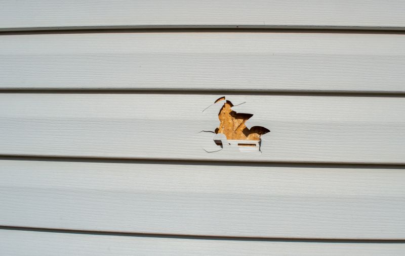 Expert Vinyl Siding Repair